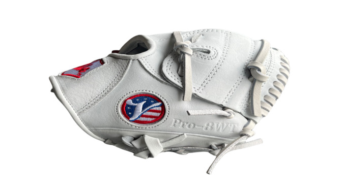 Training Baseball Gloves