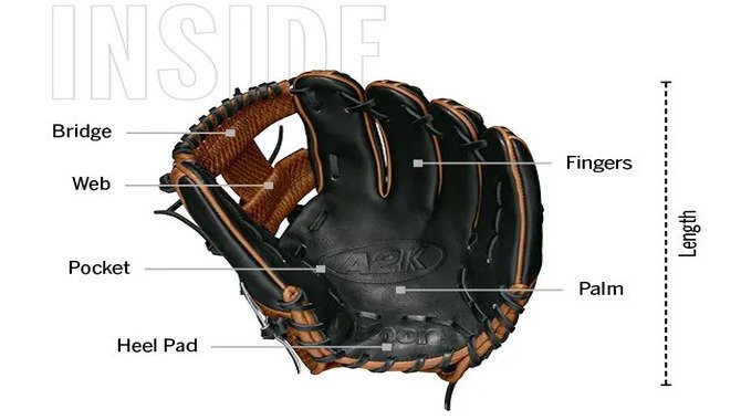 What Is A Baseball Glove