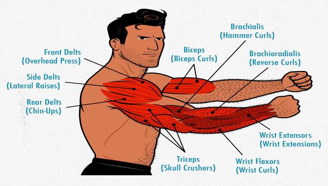 How To Do Arm Strength Training Properly.