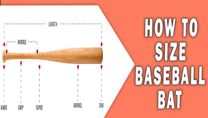 How To Size Baseball Bat - The Ultimate Guide