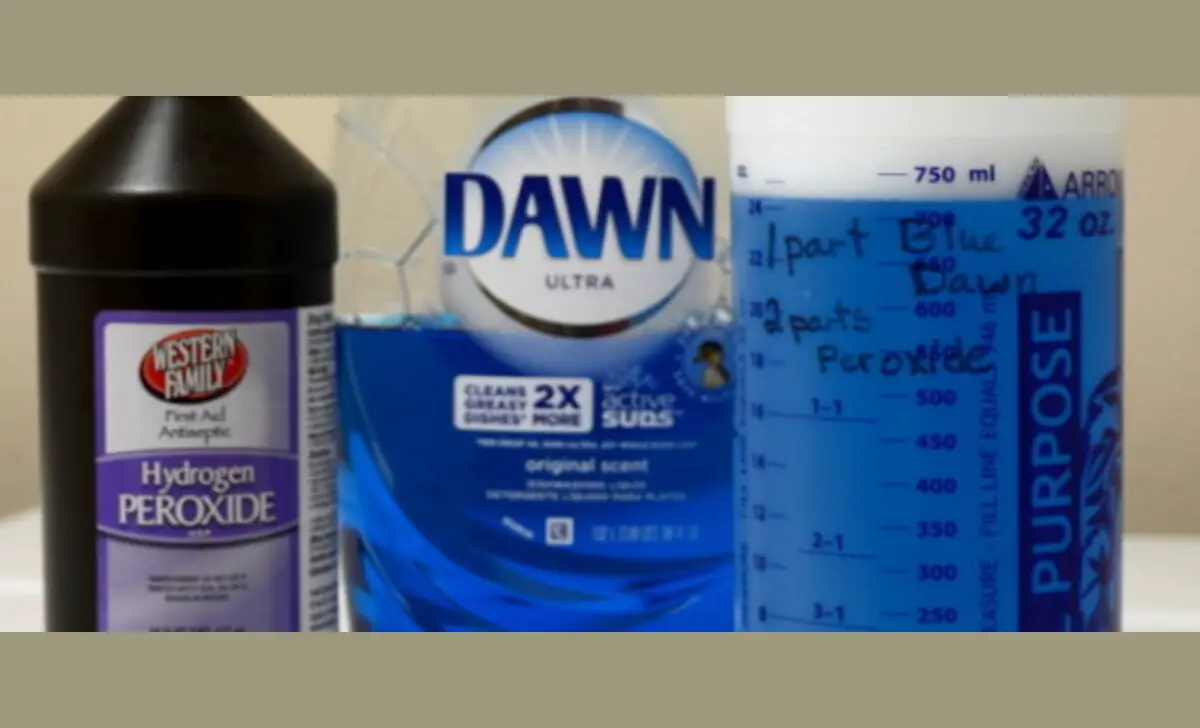 Creating A Paste With Dawn And Peroxide For Spot Treatment
