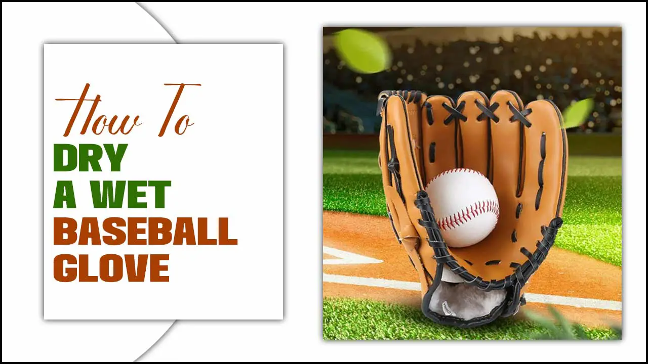 How To Dry A Wet Baseball Glove 