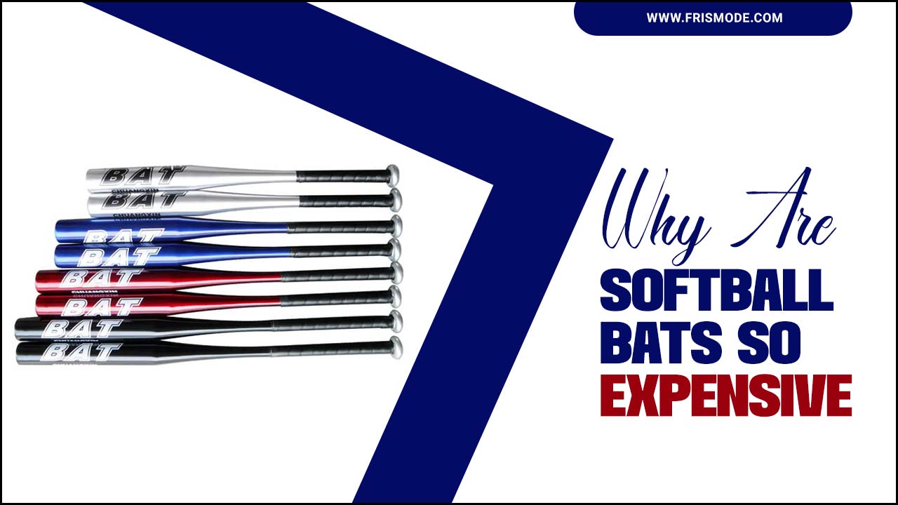 Softball Bats So Expensive