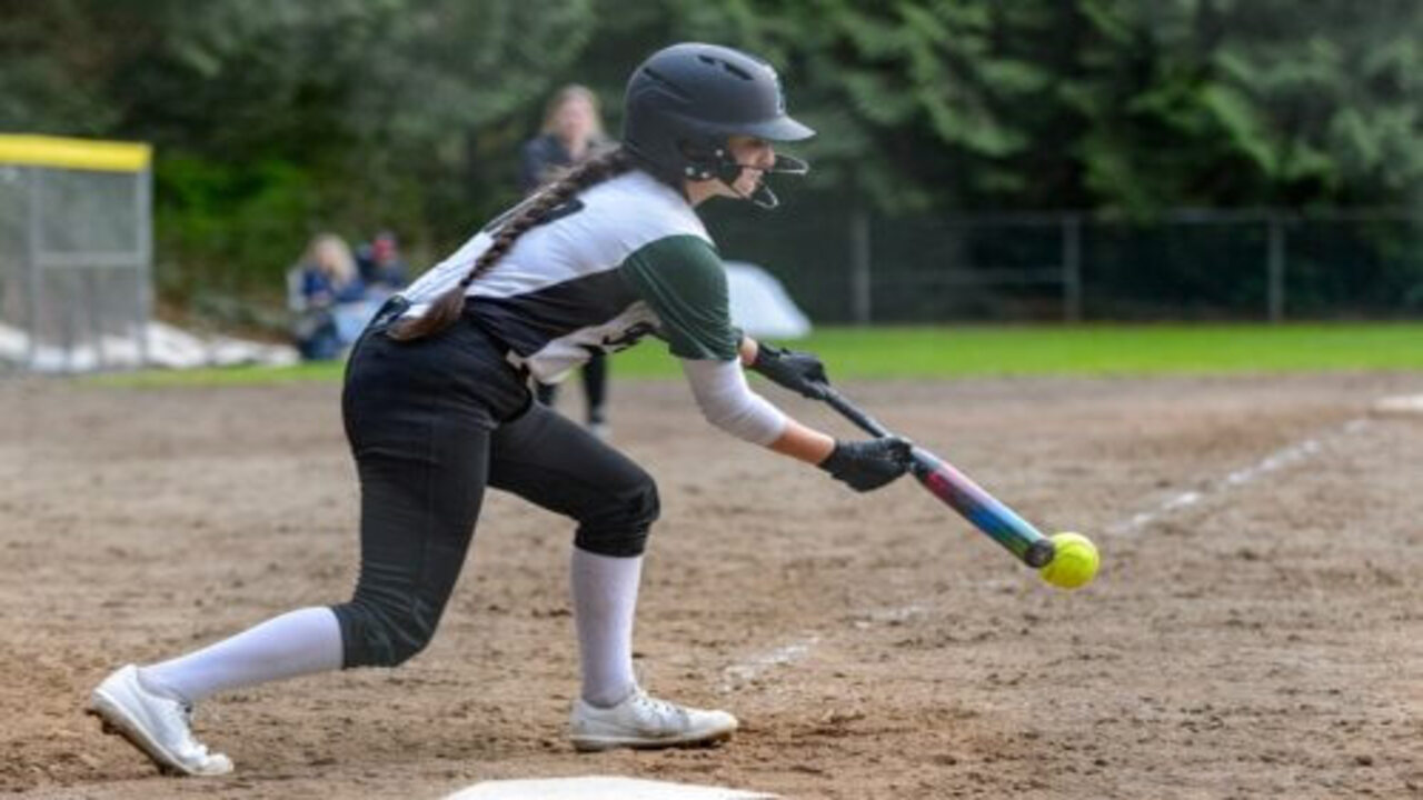 Types Of Softball Bats