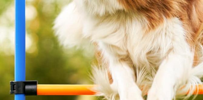 agility exercises for baseball agility exercises for baseball