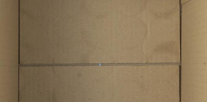 box for baseball box for baseball