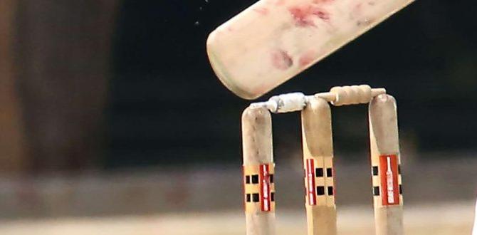 cricket bat for tennis ball cricket bat for tennis ball