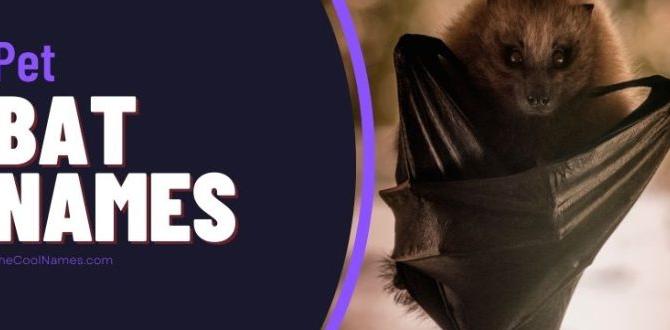 good names for bats good names for bats