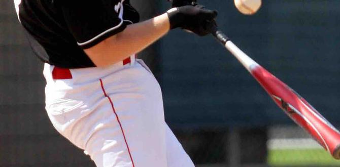 hitting net for baseball