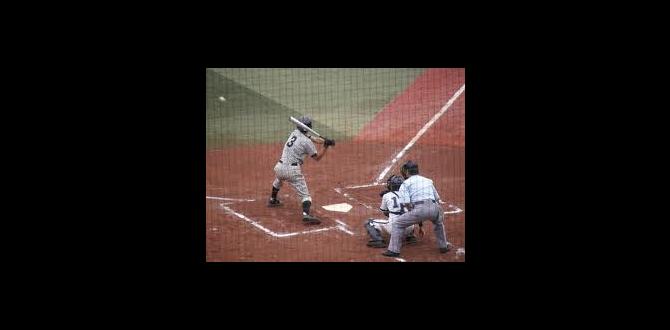 how to become an umpire for youth baseball