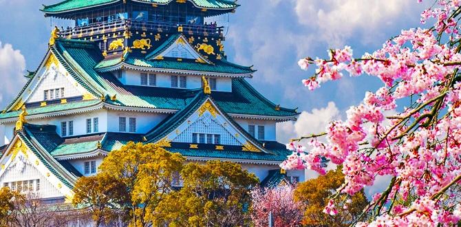 japan baseball predictions for today japan baseball predictions for today