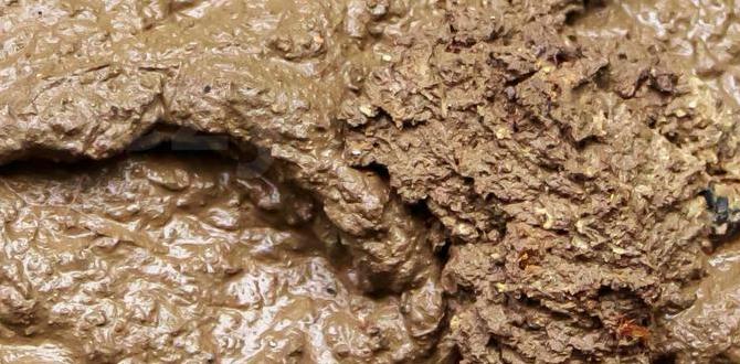 mud for mlb baseballs mud for mlb baseballs