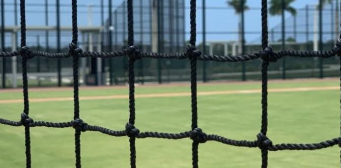 netting for baseball