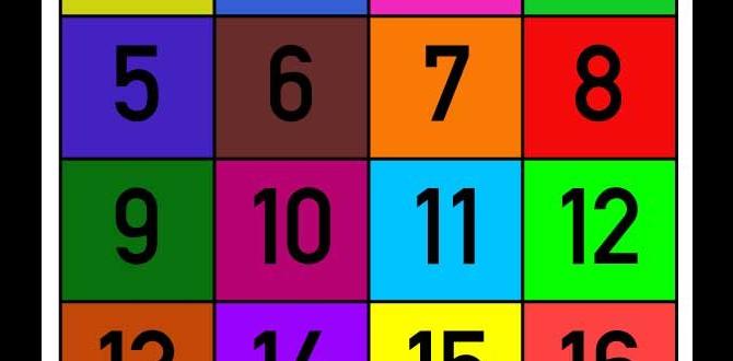 numbers for baseball positions numbers for baseball positions
