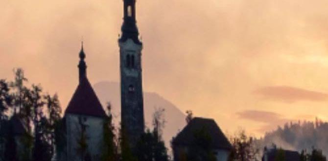 tv schedule for baseball playoffs tv schedule for baseball playoffs