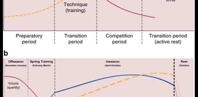 upper body workout for baseball