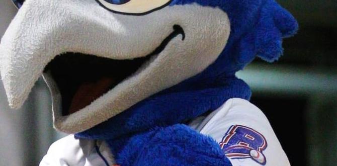who makes the baseballs for major league baseball who makes the baseballs for major league baseball