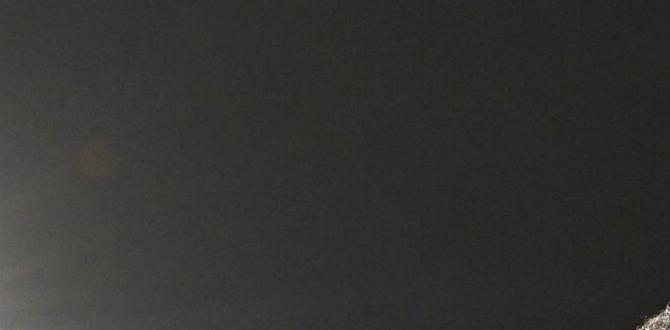 who's in the playoffs for baseball who's in the playoffs for baseball