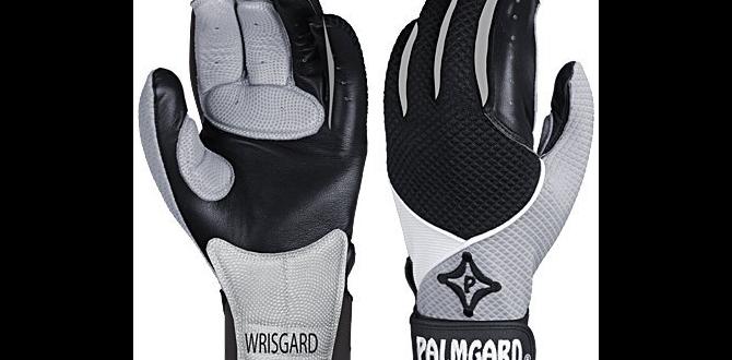 Champro catchers glove buy Champro catchers glove buy