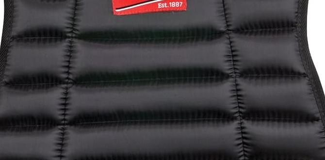 Evoshield catchers chest protector Amazon Evoshield catchers chest protector Amazon
