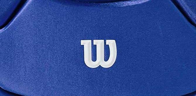 Wilson catcher gear for adults Wilson catcher gear for adults