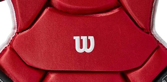 Wilson catcher gear top rated Wilson catcher gear top rated