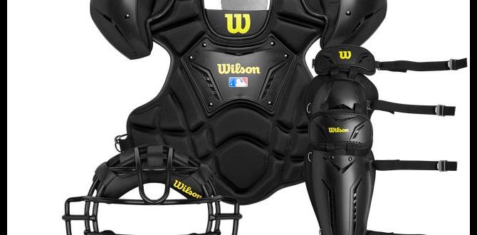 Wilson catcher gear vs umpire gear Wilson catcher gear vs umpire gear